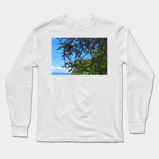 Olive Tree with Olives Mediterranean Coast Photo Long Sleeve T-Shirt